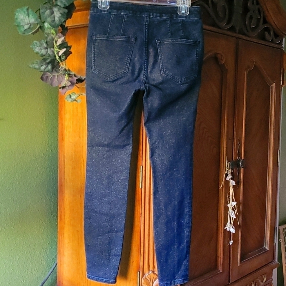 Anthropologie Pilcro Shimmer Glitter High rise Denim legging. Size 27